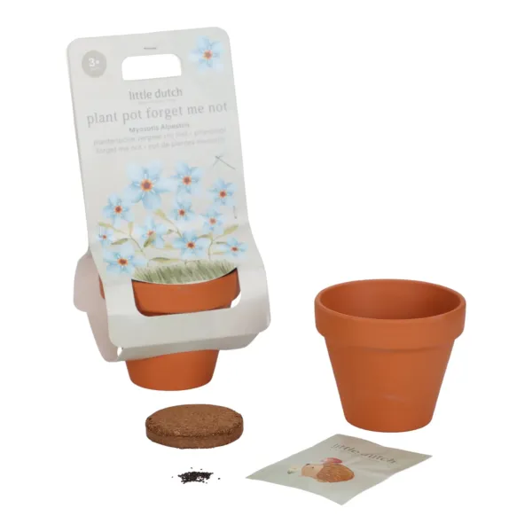 Vasetto non ti scordar di me - Plant pot forget me not